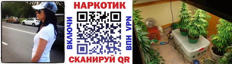 Где можно купить наркотики Сусуман Марихуана  Галлюциногенные грибы  COCAIN  Героин  Гашиш  Мефедрон  A-PVP 