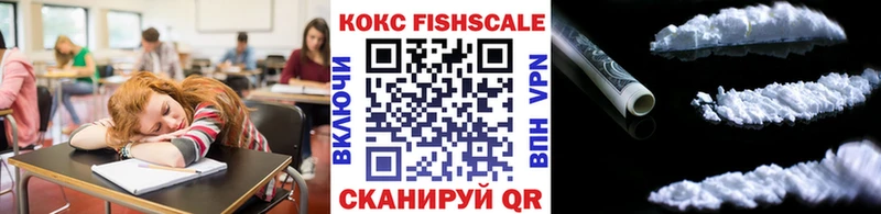 MEGA онион  Сусуман  COCAIN 98% 