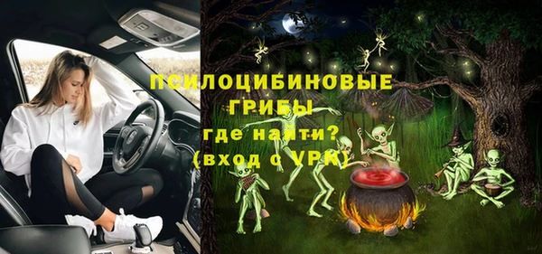 прущие крисы Арсеньев