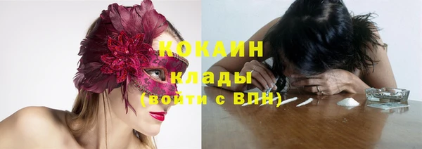 прущие крисы Арсеньев