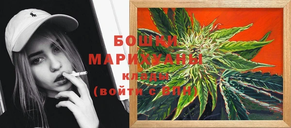 прущие крисы Арсеньев