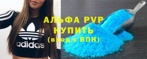 jwh Пересвет
