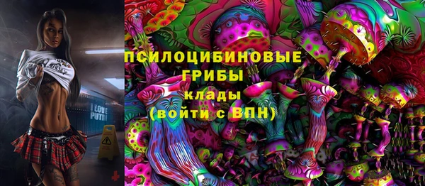 соль ск Аркадак