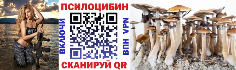 где можно купить Сусуман Псилоцибиновые грибы ЛСД